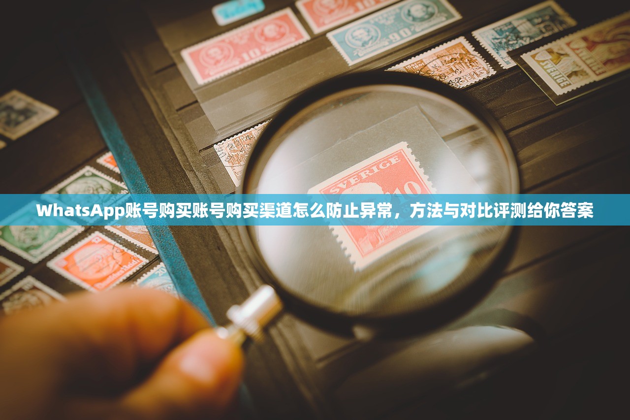 WhatsApp账号购买账号购买渠道怎么防止异常,方法与对比评测给你答案