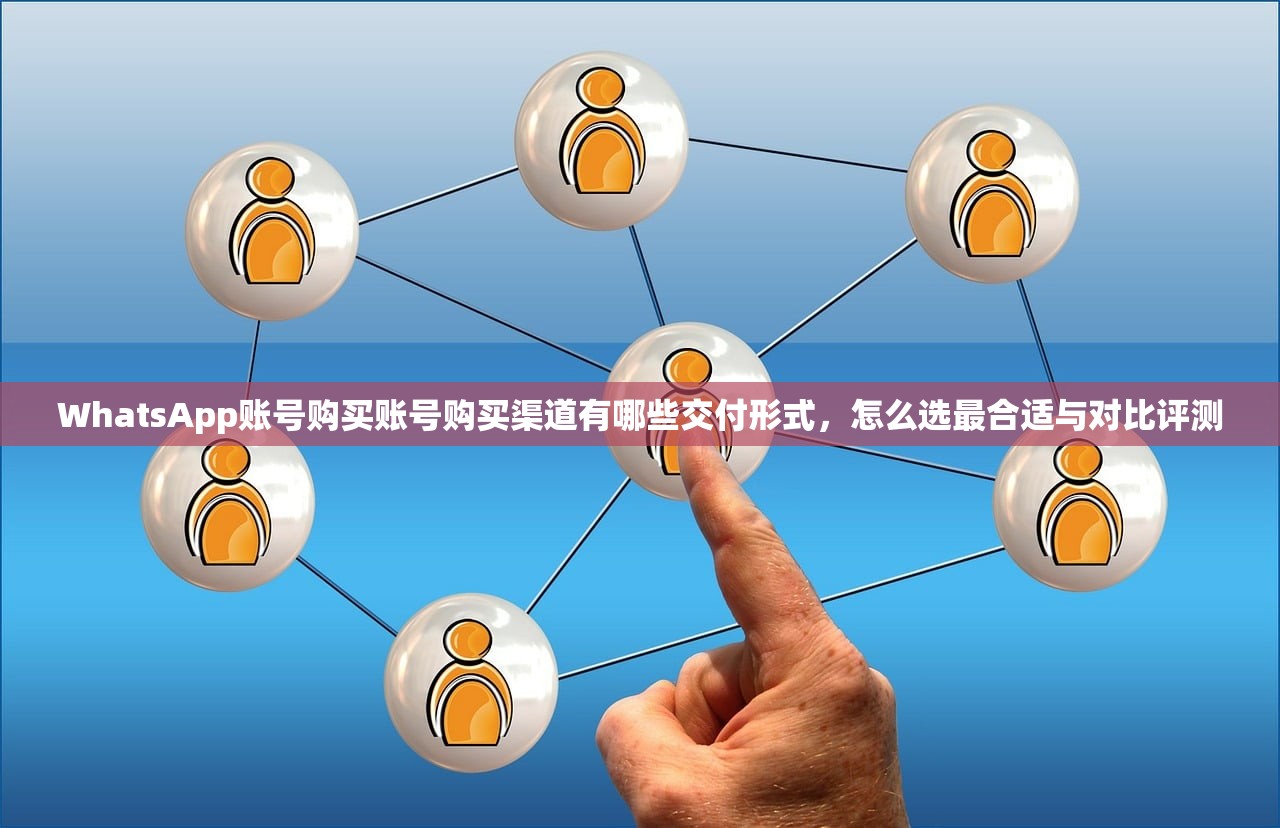 WhatsApp账号购买账号购买渠道有哪些交付形式,怎么选最合适与对比评测