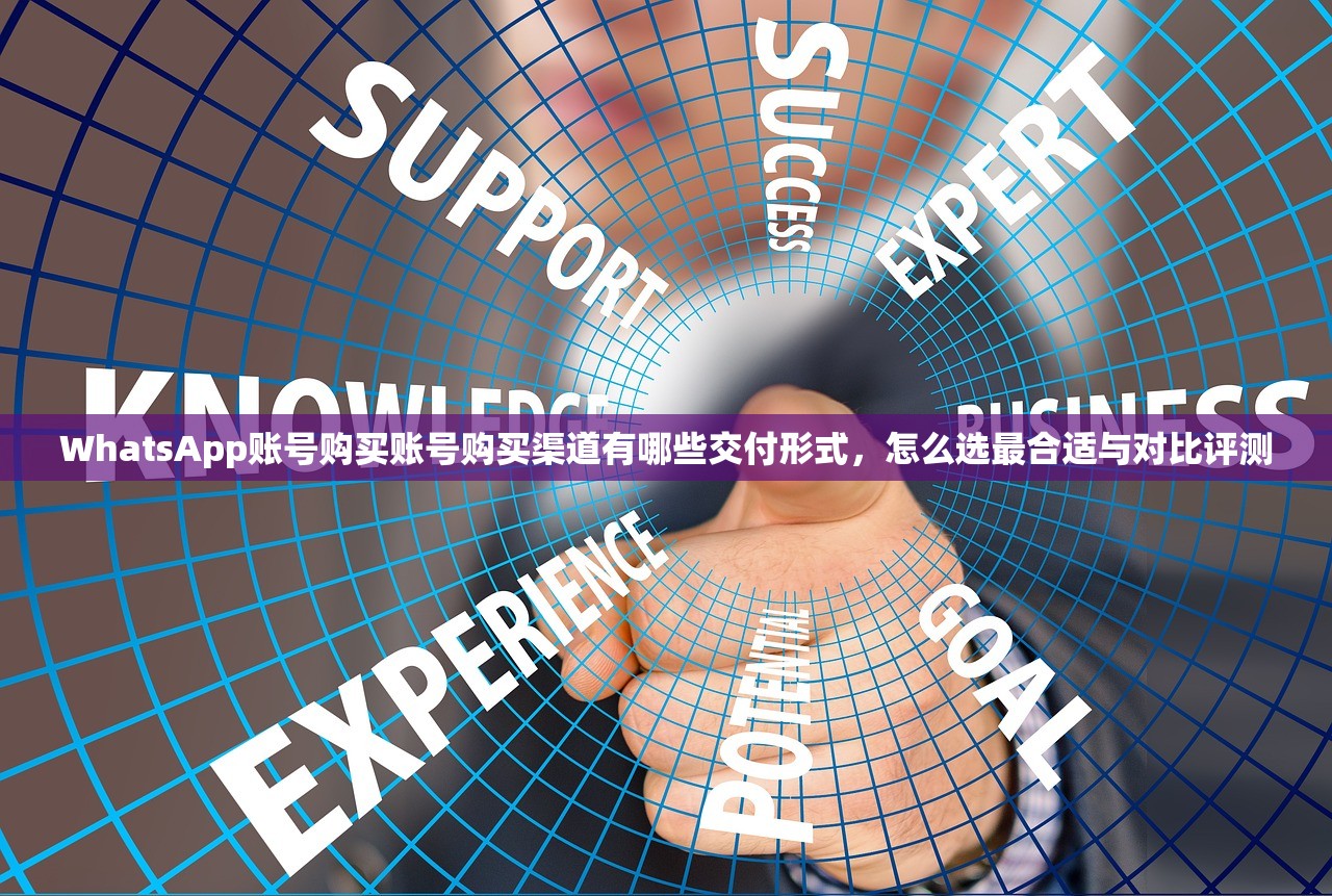WhatsApp账号购买账号购买渠道有哪些交付形式,怎么选最合适与对比评测