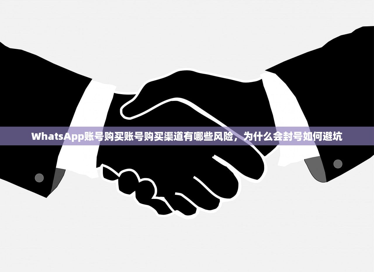 WhatsApp账号购买账号购买渠道有哪些风险,为什么会封号如何避坑