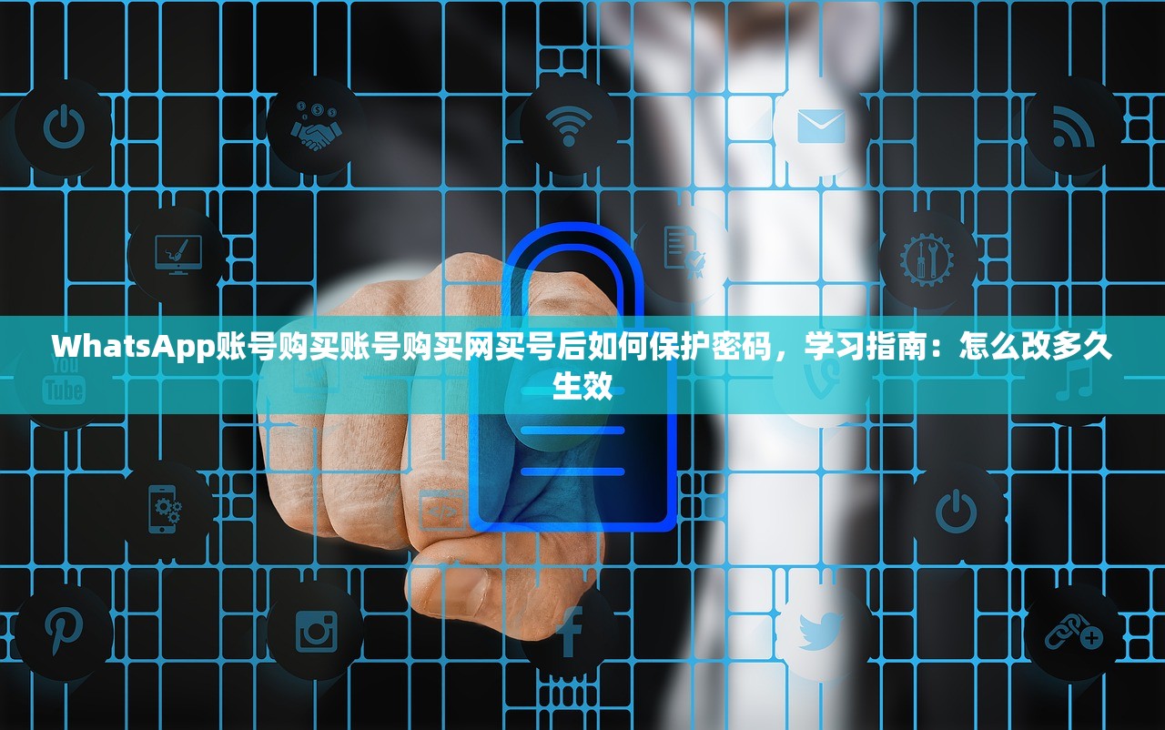 WhatsApp账号购买账号购买网买号后如何保护密码,学习指南:怎么改多久生效