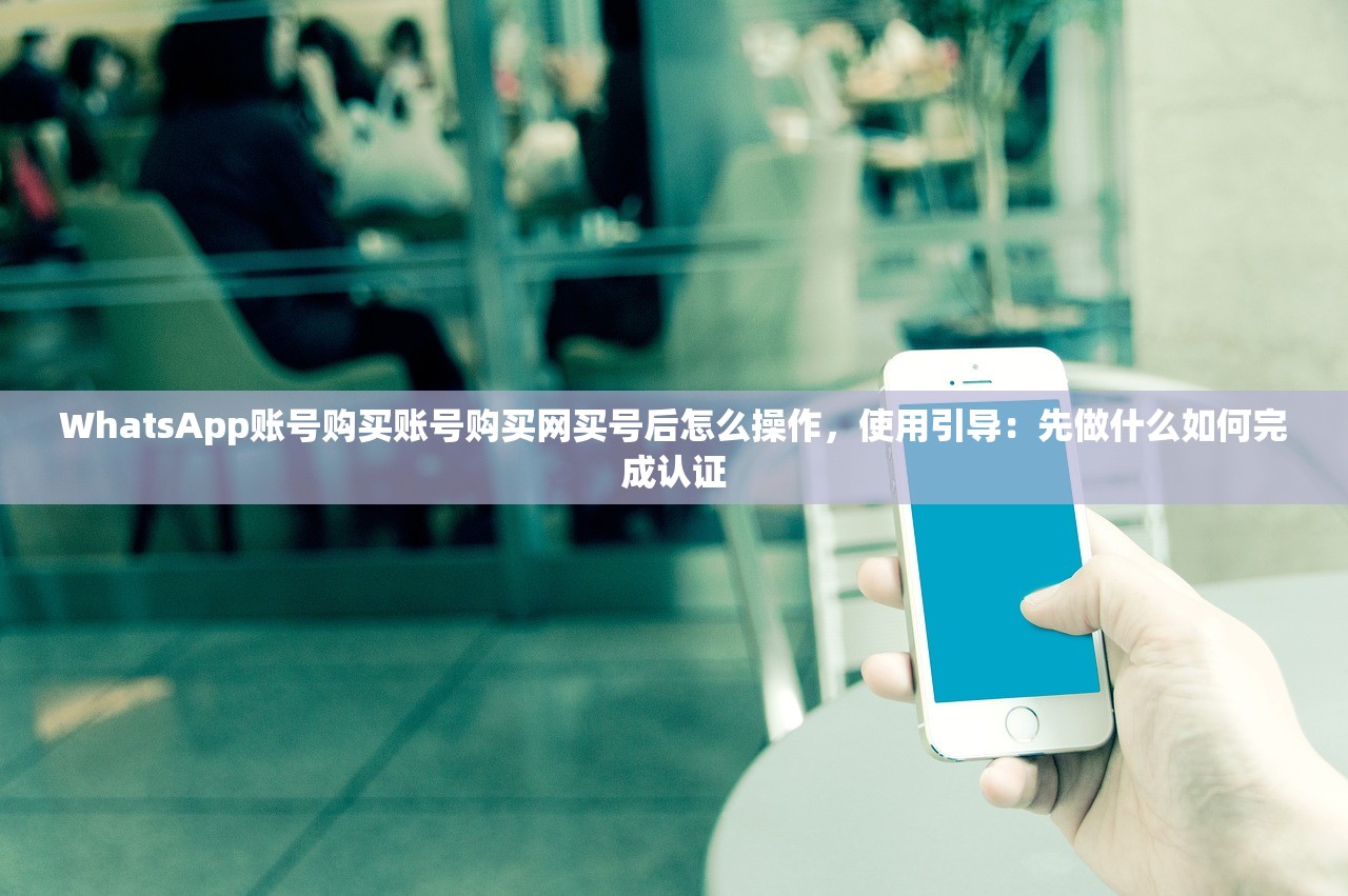 WhatsApp账号购买账号购买网买号后怎么操作,使用引导:先做什么如何完成认证