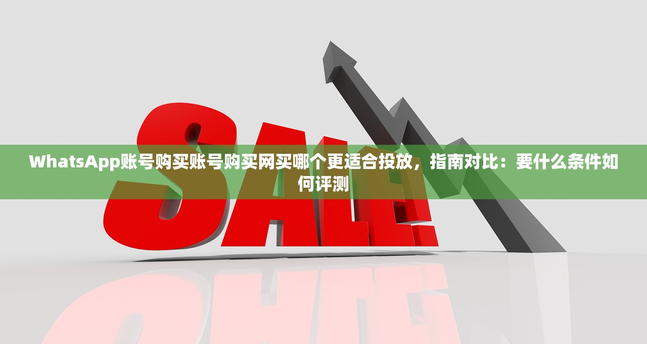 WhatsApp账号购买账号购买网买哪个更适合投放,指南对比:要什么条件如何评测