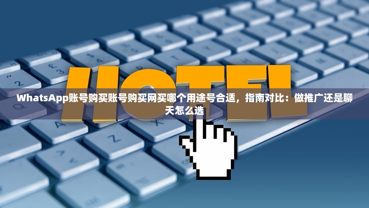WhatsApp账号购买账号购买网买哪个用途号合适,指南对比:做推广还是聊天怎么选