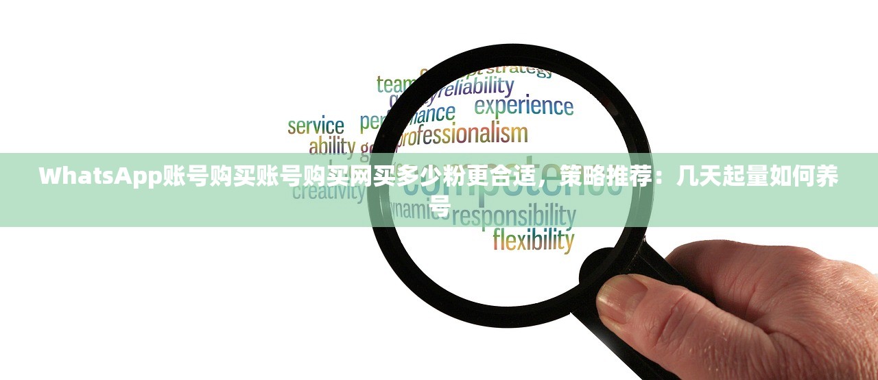 WhatsApp账号购买账号购买网买多少粉更合适,策略推荐:几天起量如何养号