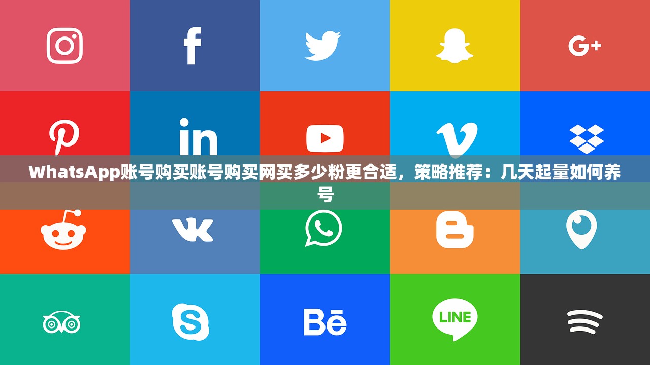 WhatsApp账号购买账号购买网买多少粉更合适,策略推荐:几天起量如何养号