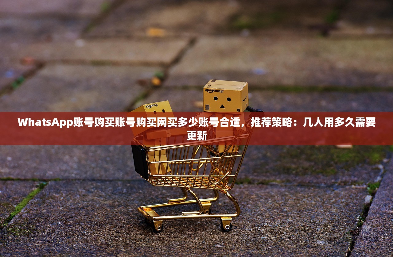WhatsApp账号购买账号购买网买多少账号合适,推荐策略:几人用多久需要更新