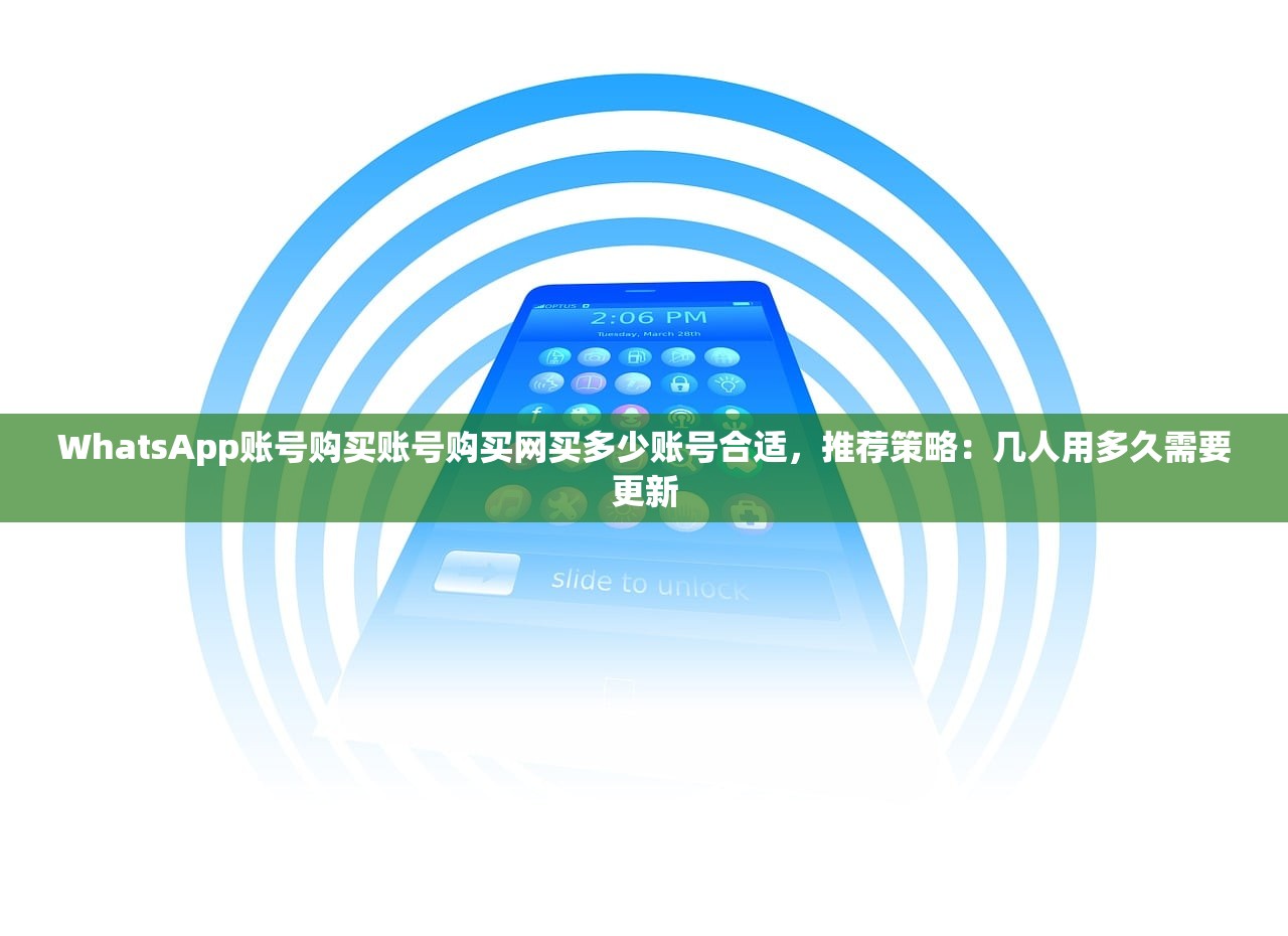 WhatsApp账号购买账号购买网买多少账号合适，推荐策略：几人用多久需要更新