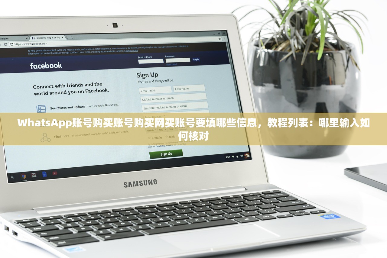 WhatsApp账号购买账号购买网买账号要填哪些信息,教程列表:哪里输入如何核对