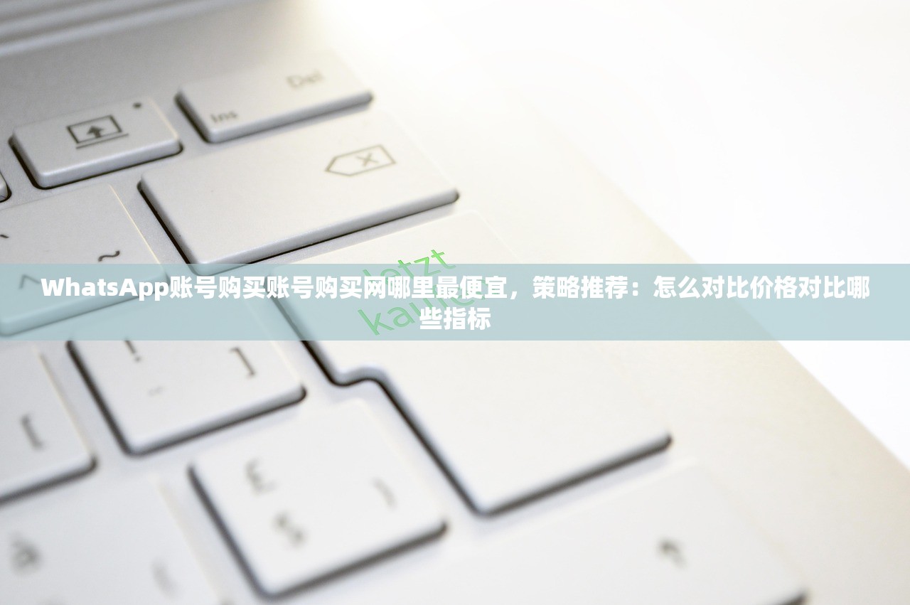 WhatsApp账号购买账号购买网哪里最便宜，策略推荐：怎么对比价格对比哪些指标
