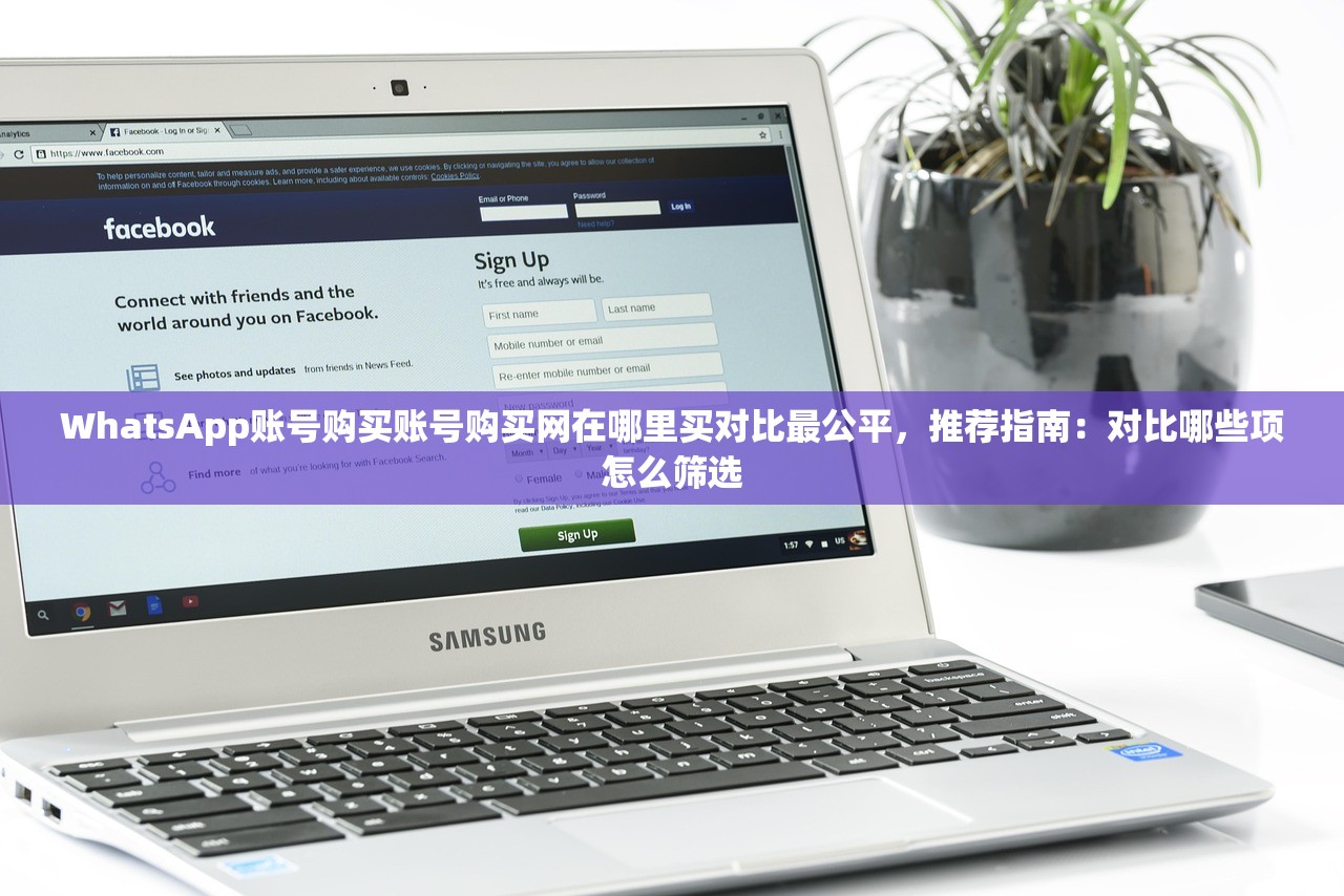 WhatsApp账号购买账号购买网在哪里买对比最公平,推荐指南:对比哪些项怎么筛选