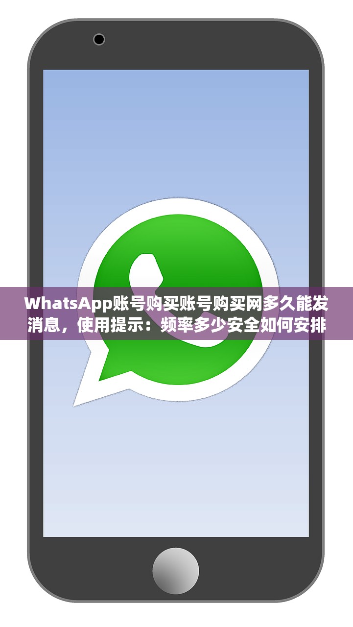 WhatsApp账号购买账号购买网多久能发消息,使用提示:频率多少安全如何安排