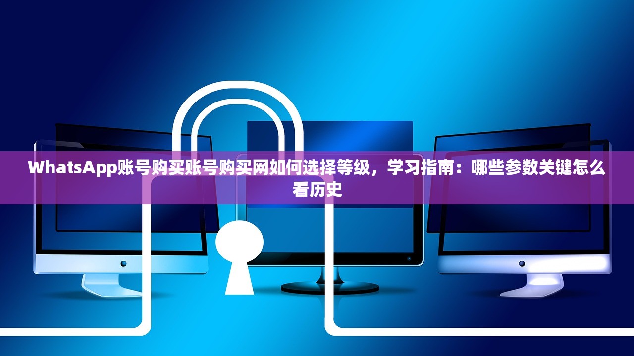 WhatsApp账号购买账号购买网如何选择等级，学习指南：哪些参数关键怎么看历史