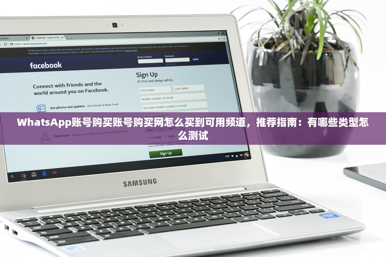 WhatsApp账号购买账号购买网怎么买到可用频道,推荐指南:有哪些类型怎么测试