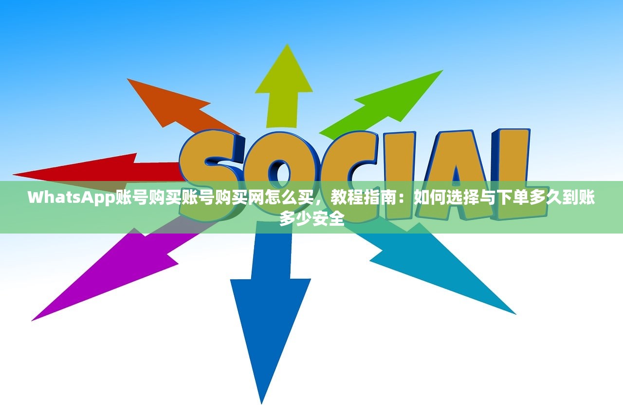 WhatsApp账号购买账号购买网怎么买，教程指南：如何选择与下单多久到账多少安全
