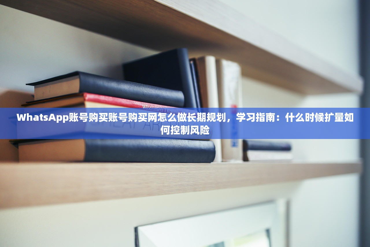 WhatsApp账号购买账号购买网怎么做长期规划,学习指南:什么时候扩量如何控制风险