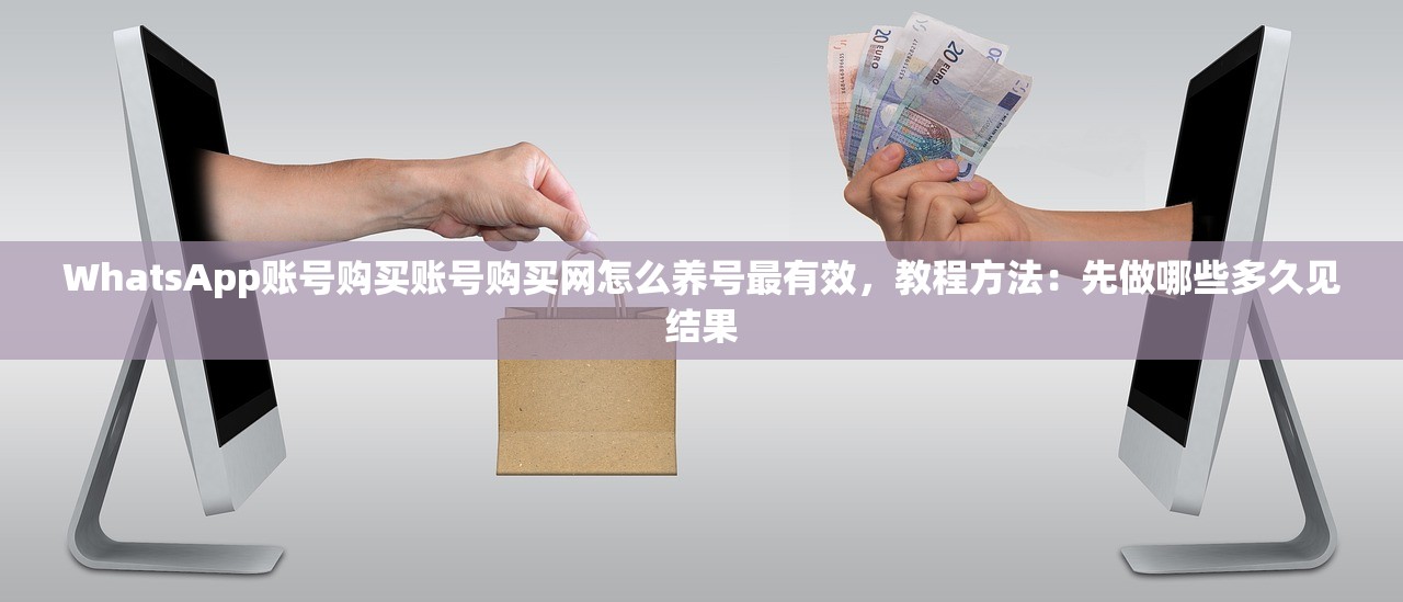 WhatsApp账号购买账号购买网怎么养号最有效,教程方法:先做哪些多久见结果
