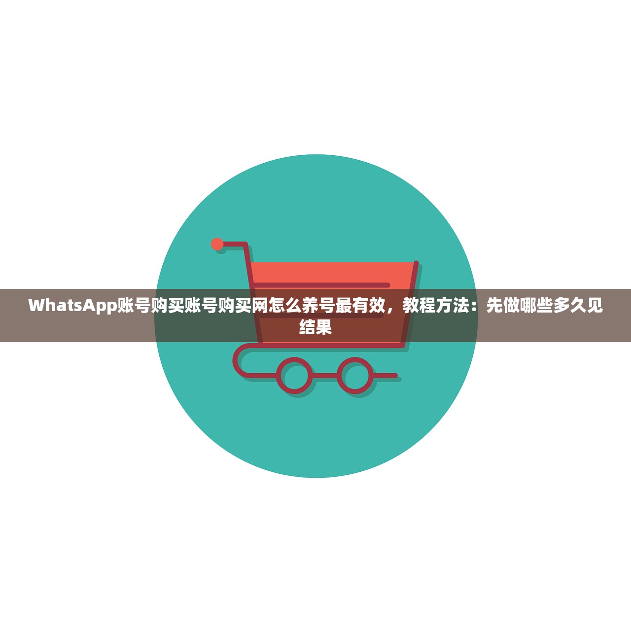 WhatsApp账号购买账号购买网怎么养号最有效,教程方法:先做哪些多久见结果