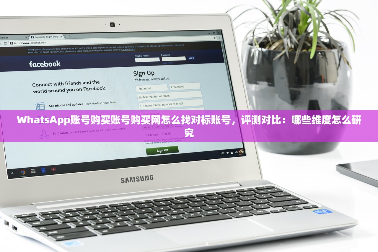 WhatsApp账号购买账号购买网怎么找对标账号,评测对比:哪些维度怎么研究
