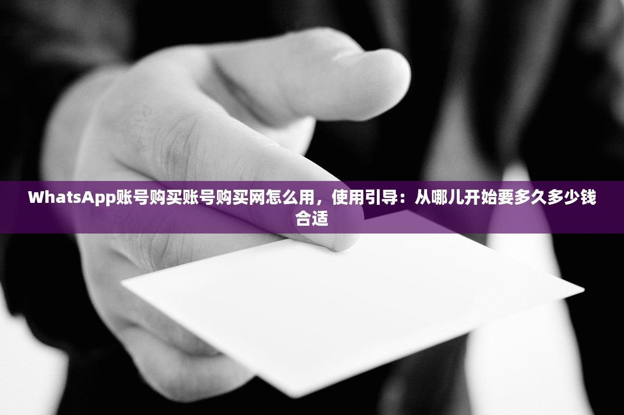 WhatsApp账号购买账号购买网怎么用,使用引导:从哪儿开始要多久多少钱合适