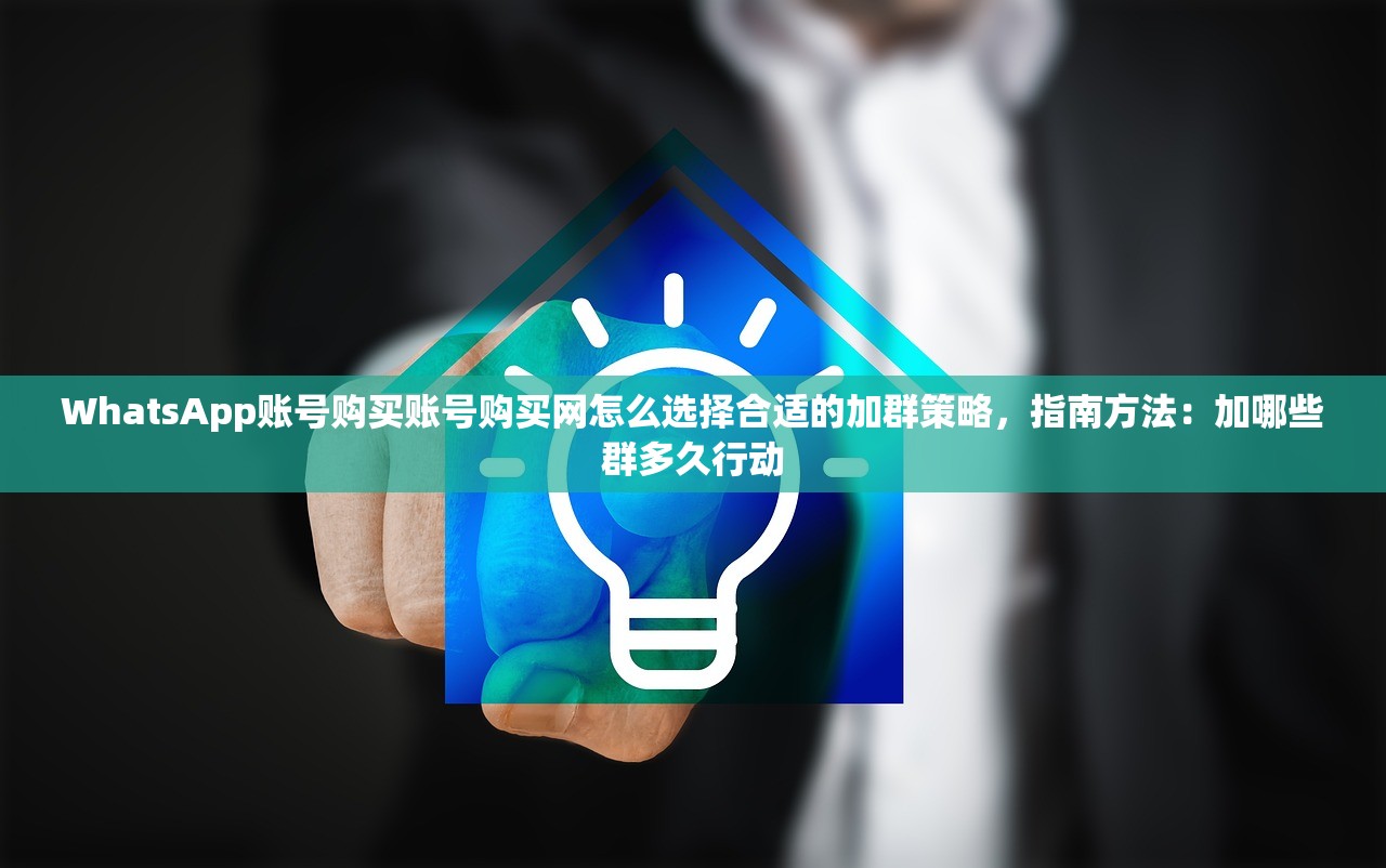 WhatsApp账号购买账号购买网怎么选择合适的加群策略,指南方法:加哪些群多久行动