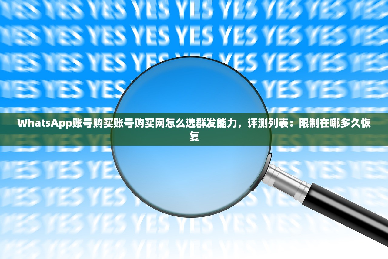 WhatsApp账号购买账号购买网怎么选群发能力，评测列表：限制在哪多久恢复