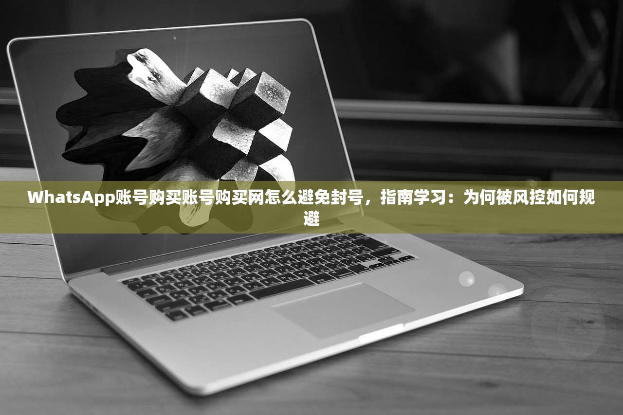 WhatsApp账号购买账号购买网怎么避免封号，指南学习：为何被风控如何规避