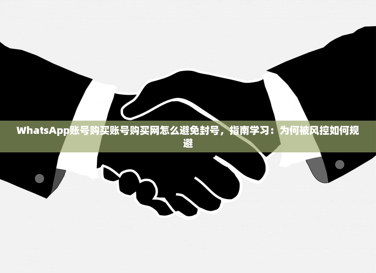 WhatsApp账号购买账号购买网怎么避免封号,指南学习:为何被风控如何规避
