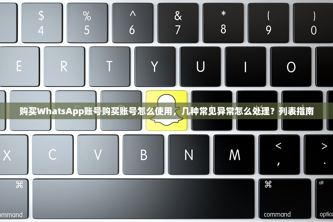 购买WhatsApp账号购买账号怎么使用,几种常见异常怎么处理?列表指南