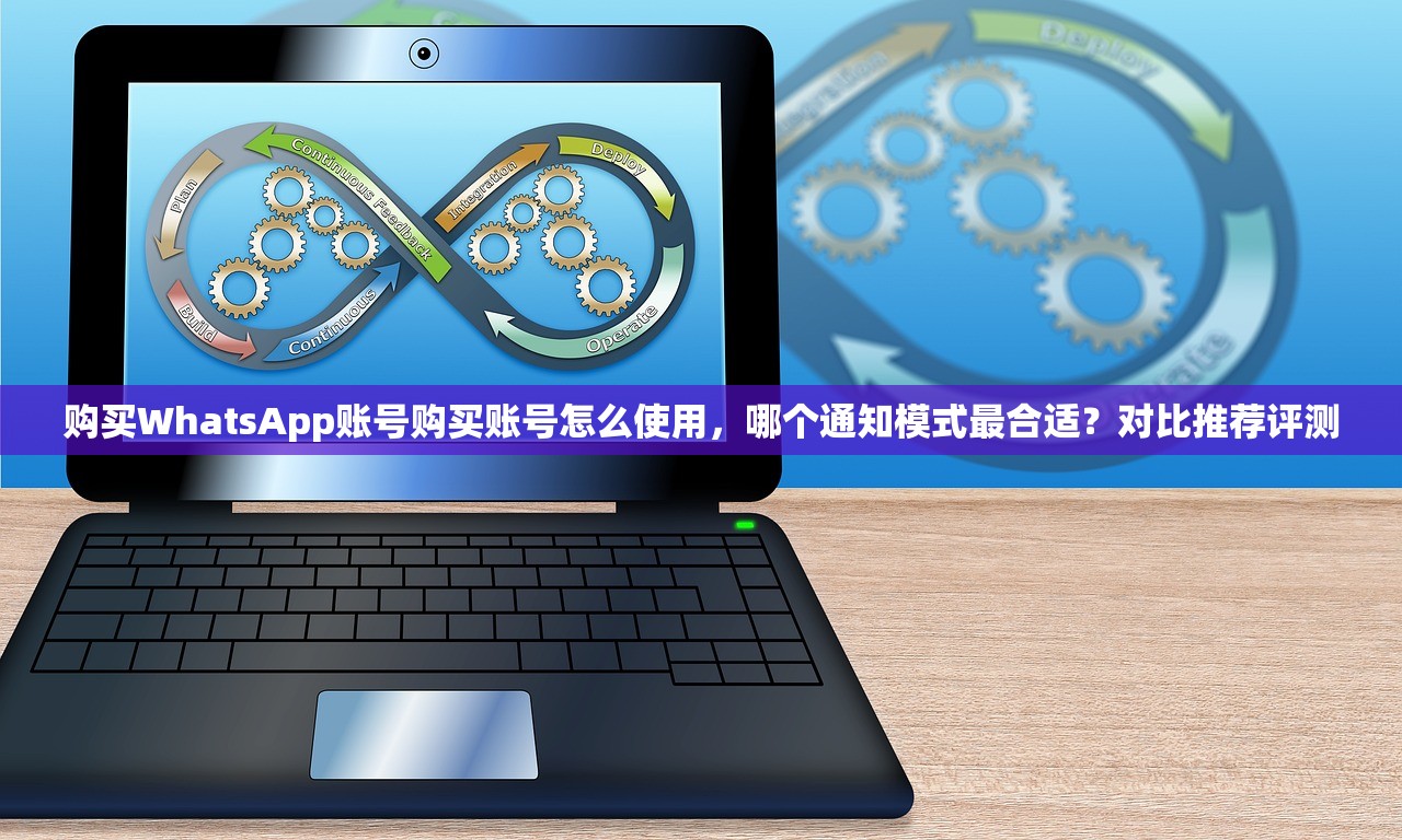 购买WhatsApp账号购买账号怎么使用,哪个通知模式最合适?对比推荐评测
