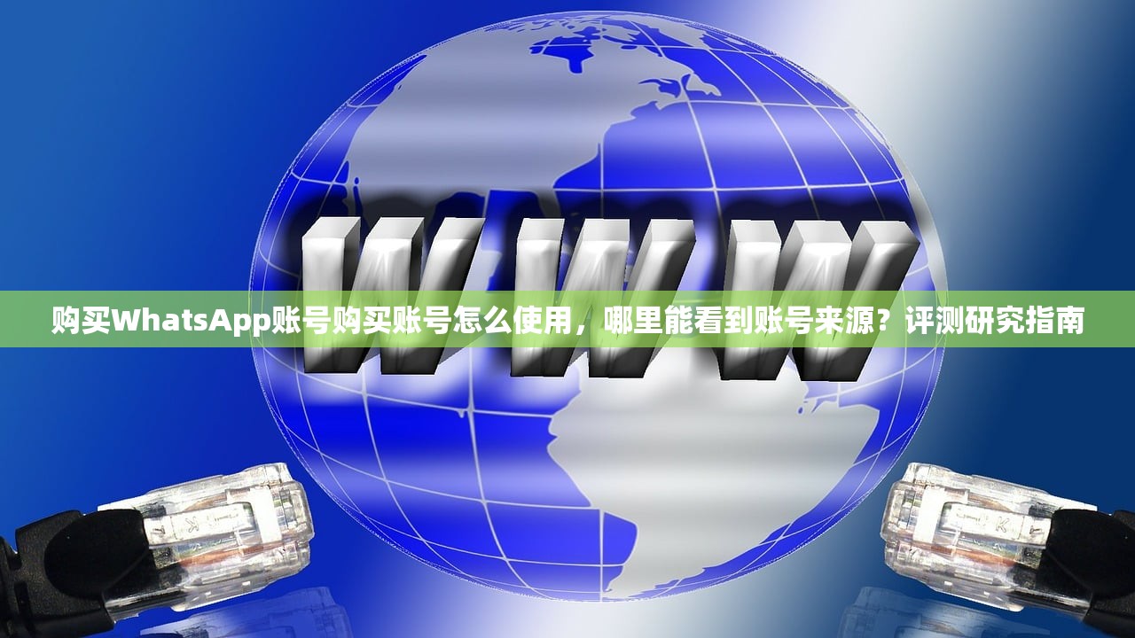 购买WhatsApp账号购买账号怎么使用,哪里能看到账号来源?评测研究指南