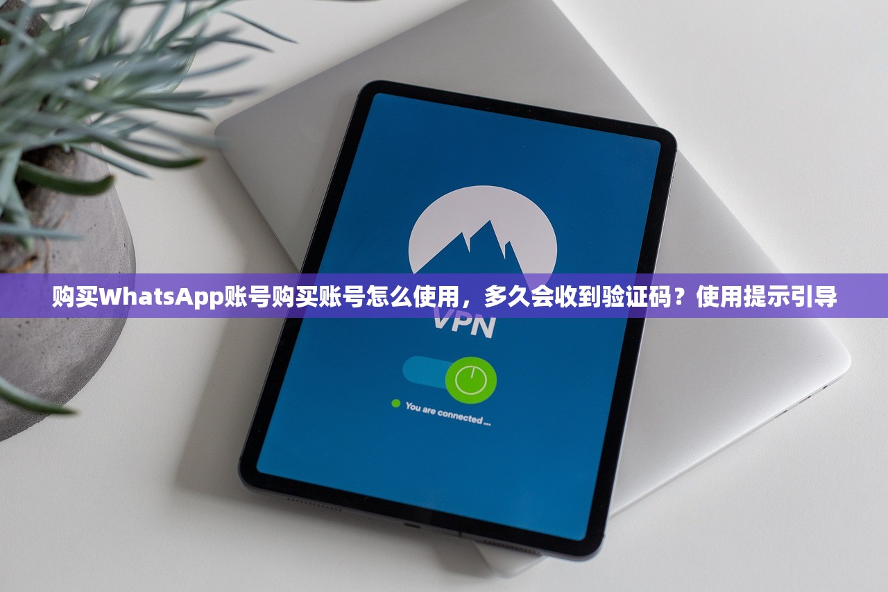购买WhatsApp账号购买账号怎么使用，多久会收到验证码？使用提示引导