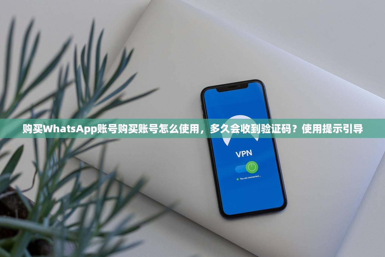 购买WhatsApp账号购买账号怎么使用,多久会收到验证码?使用提示引导