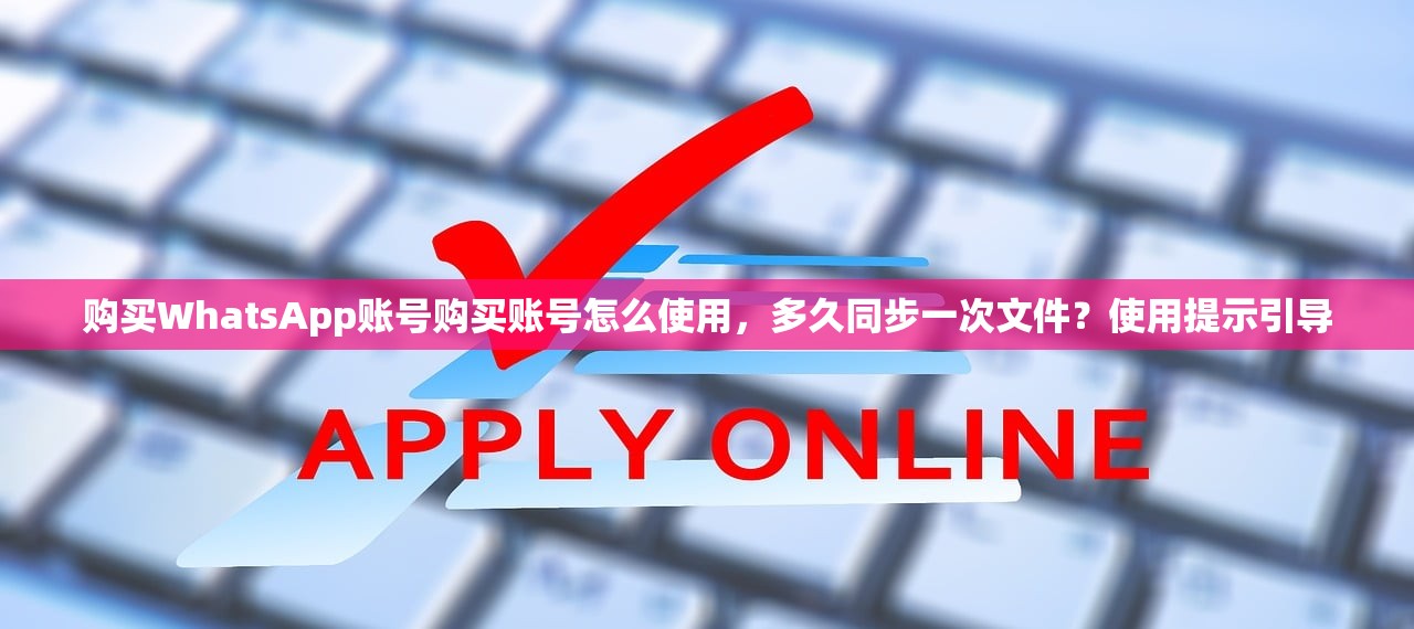 购买WhatsApp账号购买账号怎么使用,多久同步一次文件?使用提示引导