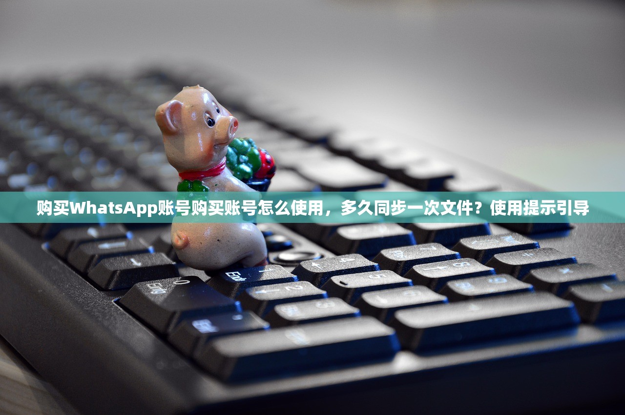 购买WhatsApp账号购买账号怎么使用,多久同步一次文件?使用提示引导