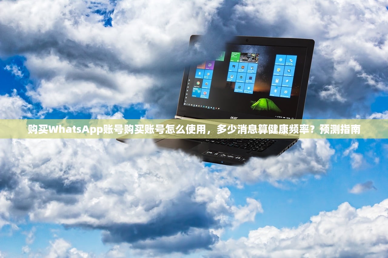 购买WhatsApp账号购买账号怎么使用,多少消息算健康频率?预测指南
