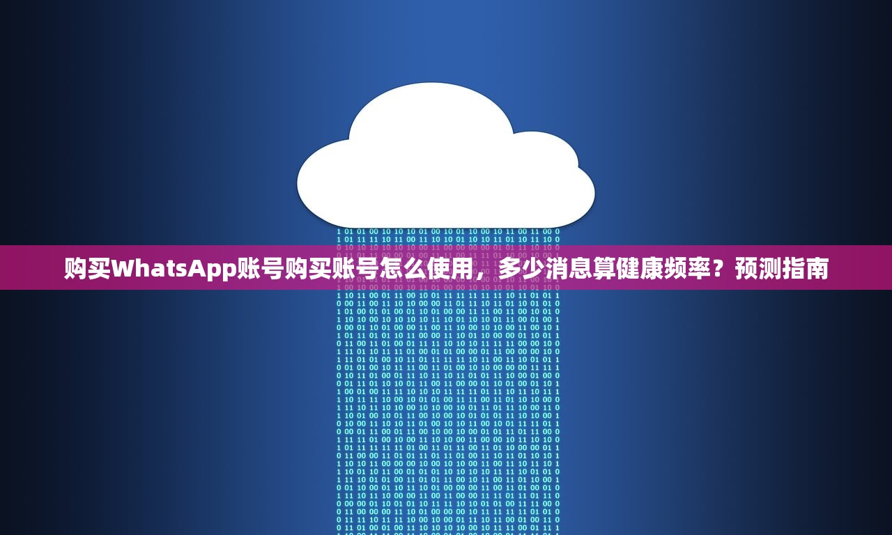 购买WhatsApp账号购买账号怎么使用,多少消息算健康频率?预测指南