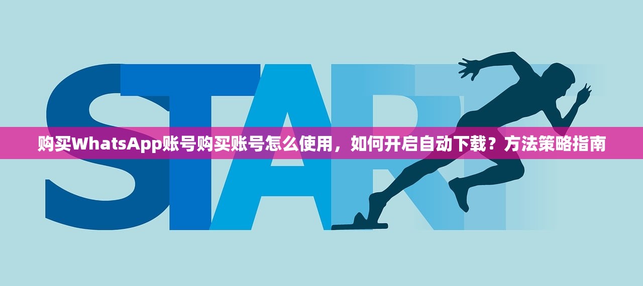 购买WhatsApp账号购买账号怎么使用,如何开启自动下载?方法策略指南