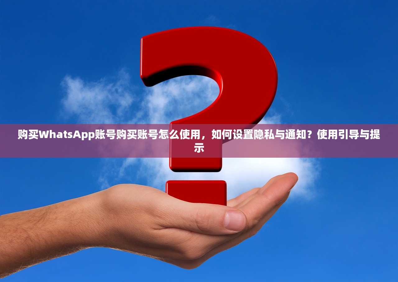 购买WhatsApp账号购买账号怎么使用,如何设置隐私与通知?使用引导与提示