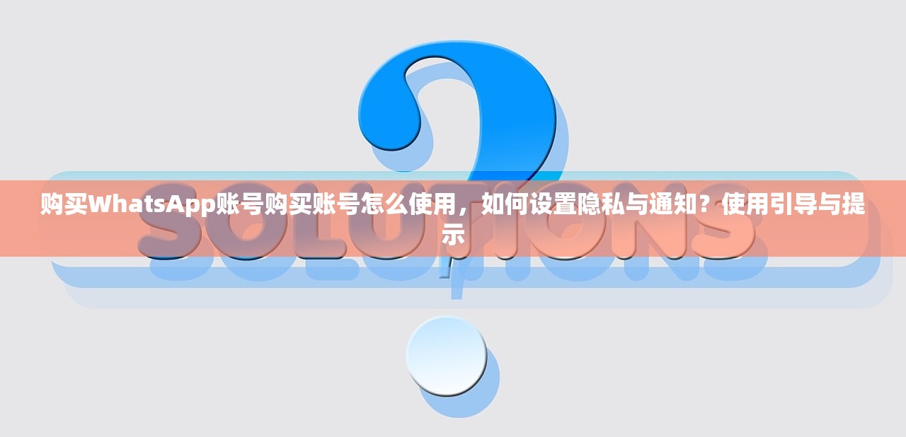 购买WhatsApp账号购买账号怎么使用,如何设置隐私与通知?使用引导与提示