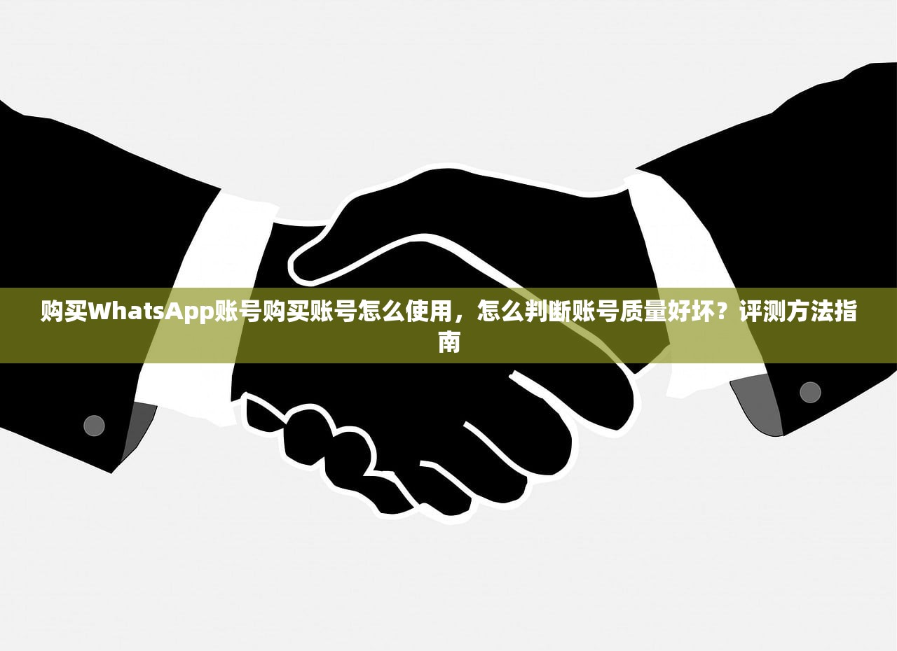 购买WhatsApp账号购买账号怎么使用，怎么判断账号质量好坏？评测方法指南