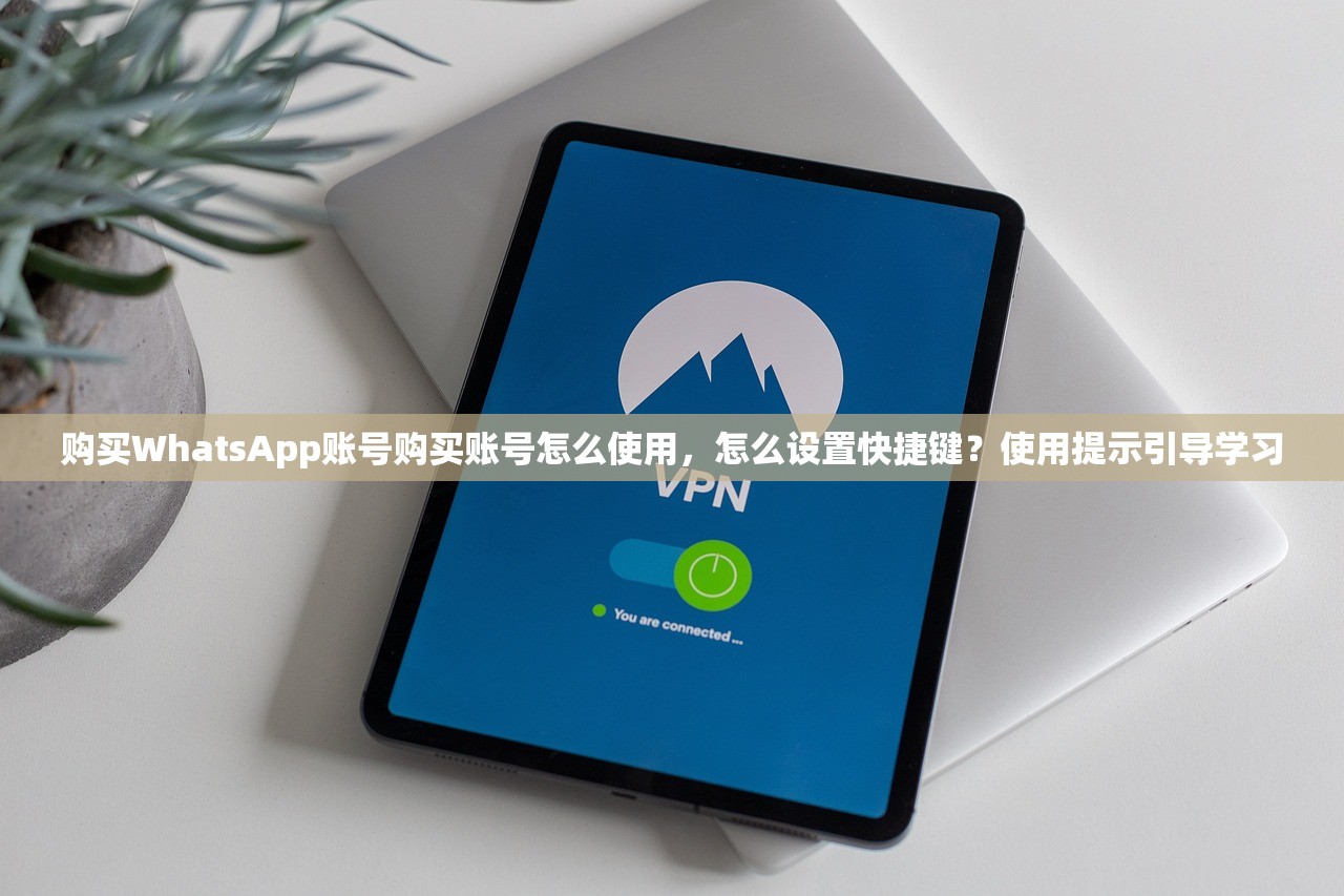 购买WhatsApp账号购买账号怎么使用,怎么设置快捷键?使用提示引导学习