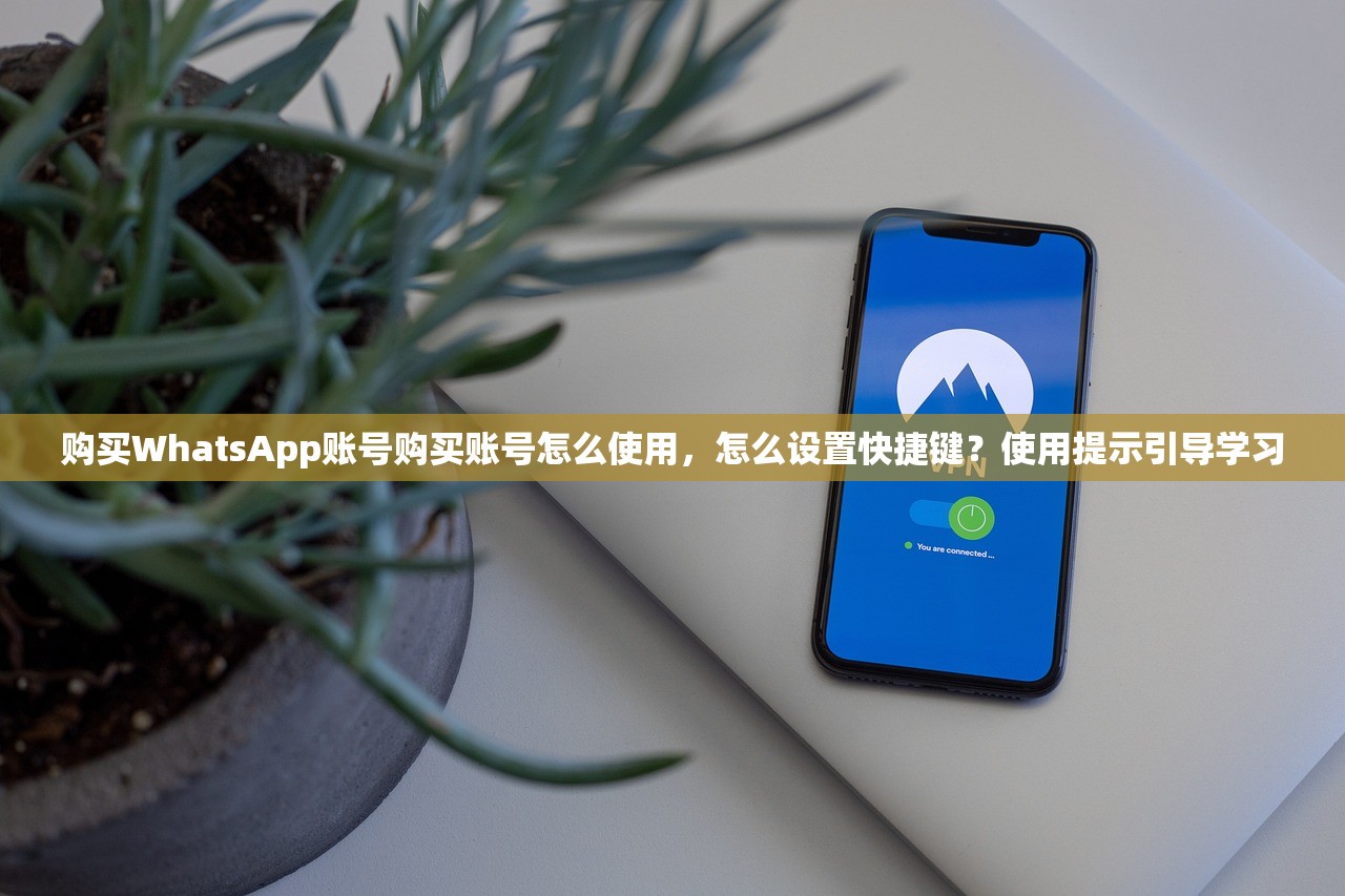 购买WhatsApp账号购买账号怎么使用,怎么设置快捷键?使用提示引导学习