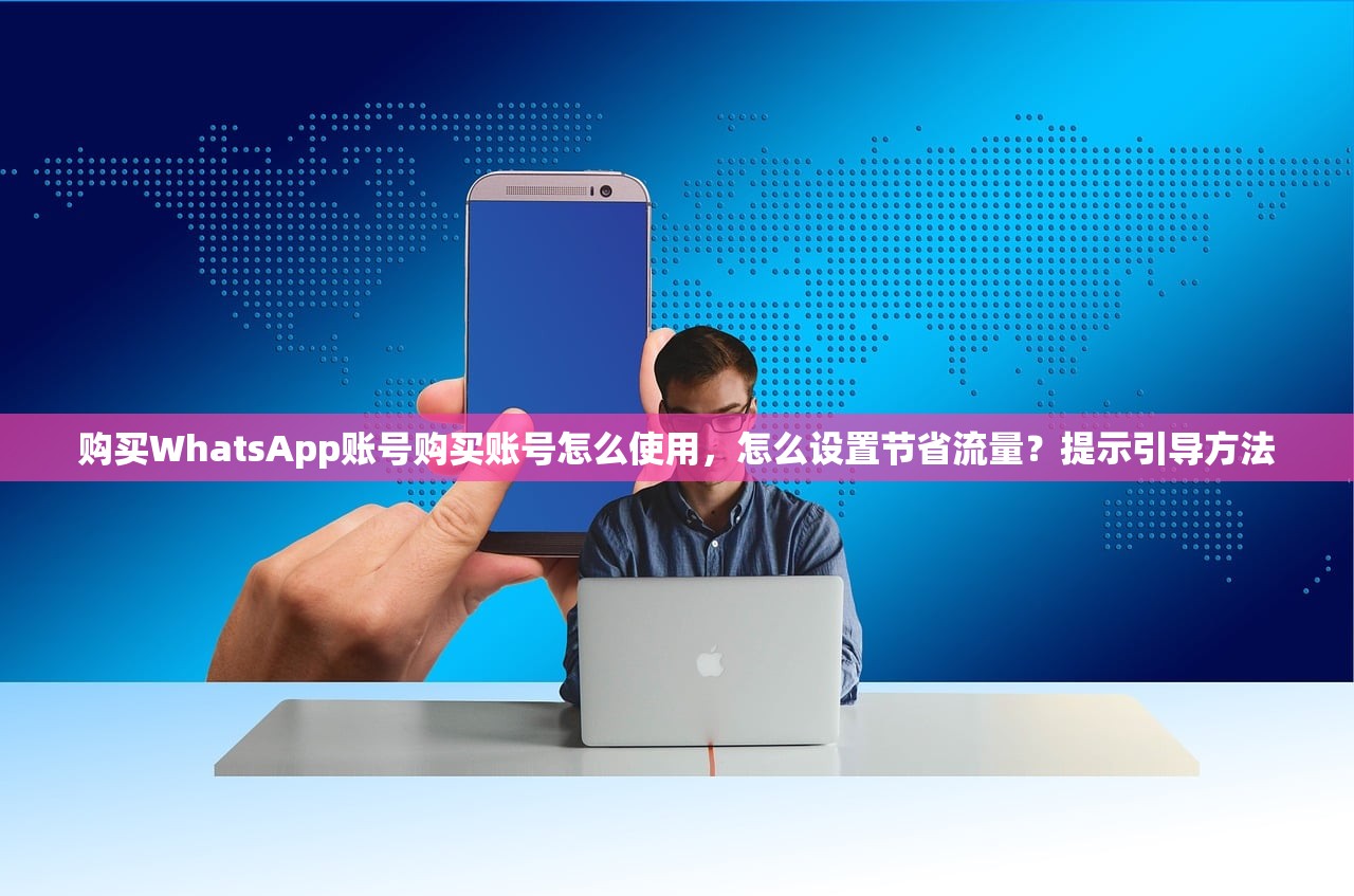 购买WhatsApp账号购买账号怎么使用，怎么设置节省流量？提示引导方法