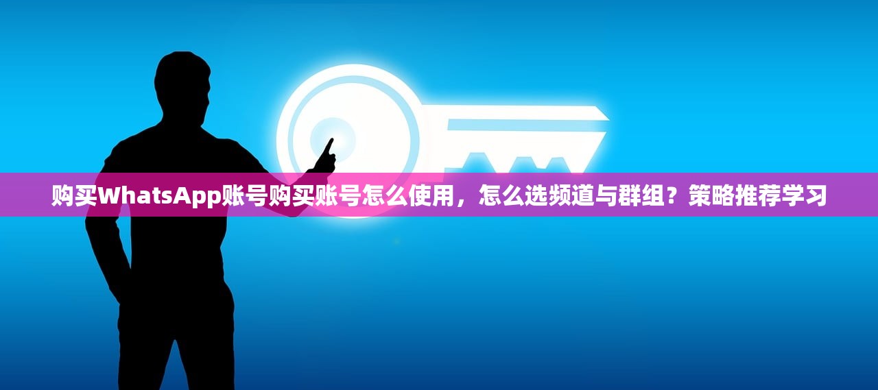 购买WhatsApp账号购买账号怎么使用,怎么选频道与群组?策略推荐学习