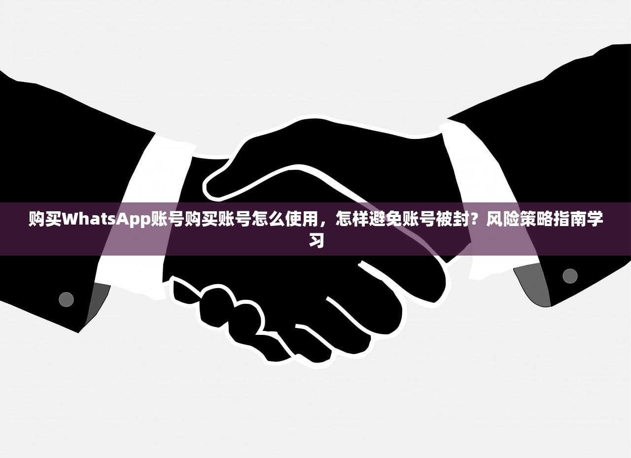 购买WhatsApp账号购买账号怎么使用,怎样避免账号被封?风险策略指南学习