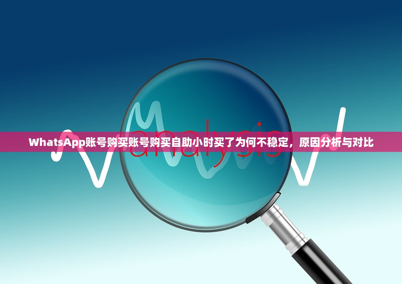 WhatsApp账号购买账号购买自助小时买了为何不稳定,原因分析与对比