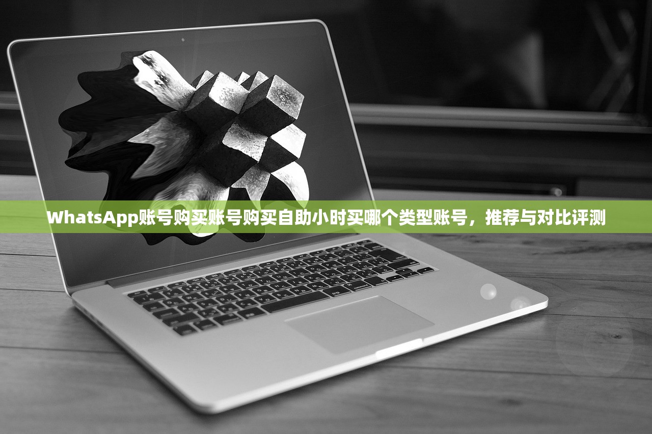 WhatsApp账号购买账号购买自助小时买哪个类型账号，推荐与对比评测