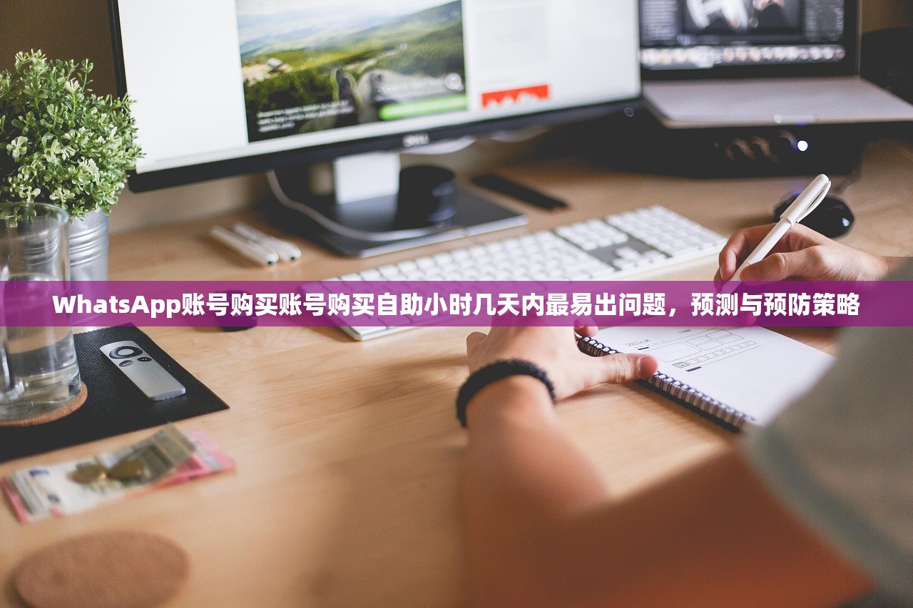 WhatsApp账号购买账号购买自助小时几天内最易出问题,预测与预防策略