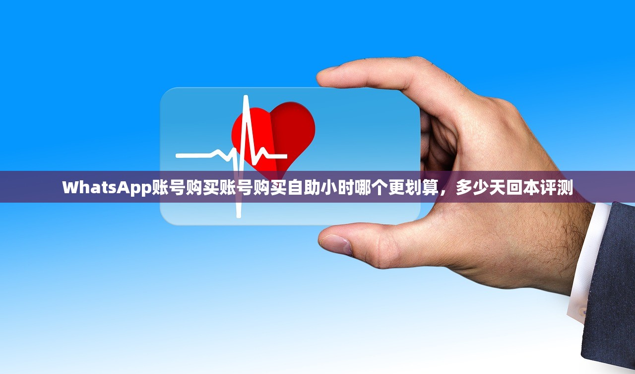 WhatsApp账号购买账号购买自助小时哪个更划算,多少天回本评测